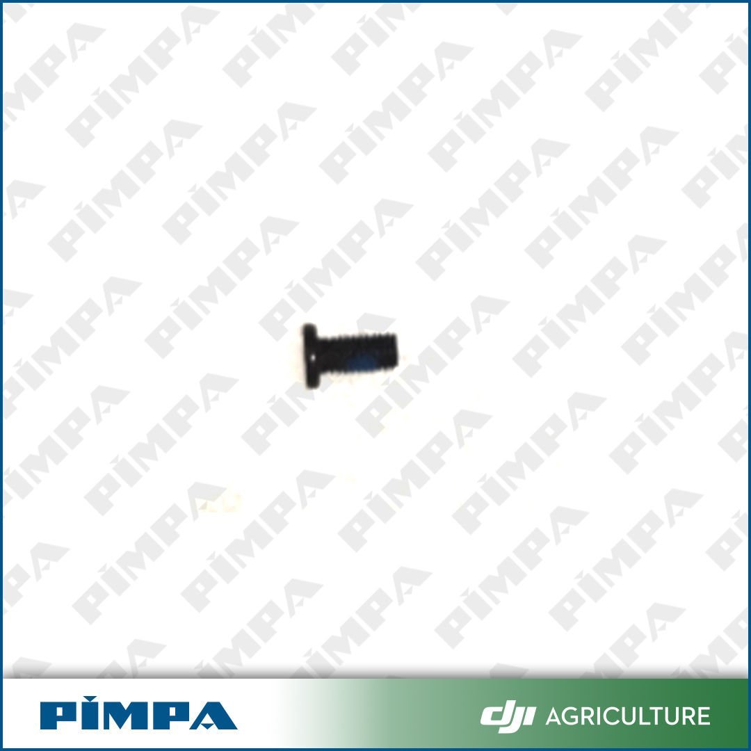 Screw M30-PC00600060-050010-3123-Y