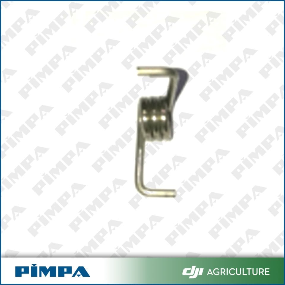 Buckle Torsion Spring