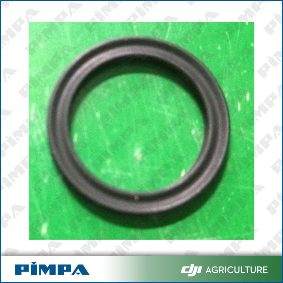 Sealing Ring (Star Shape)