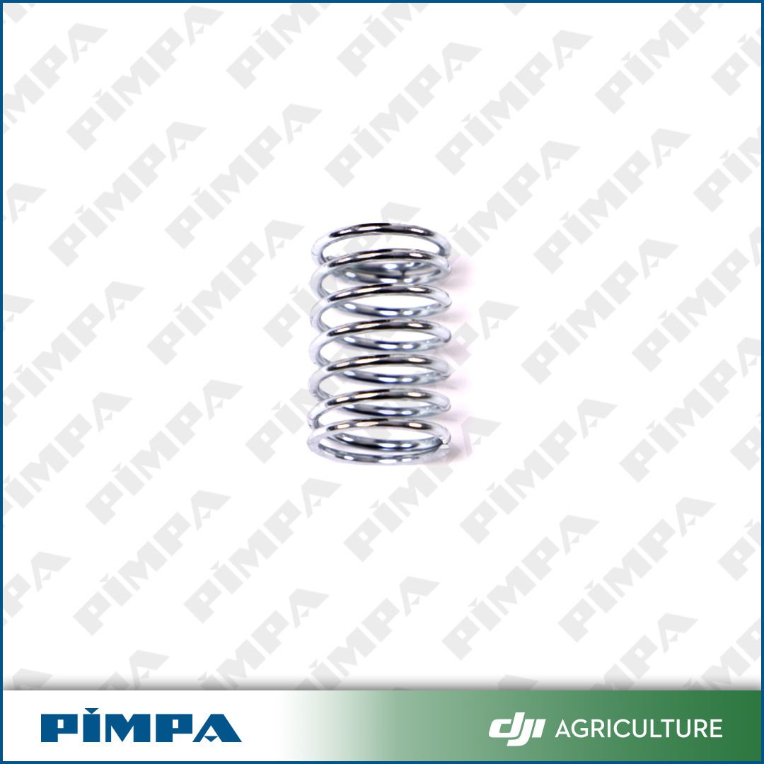 Plunger Spring