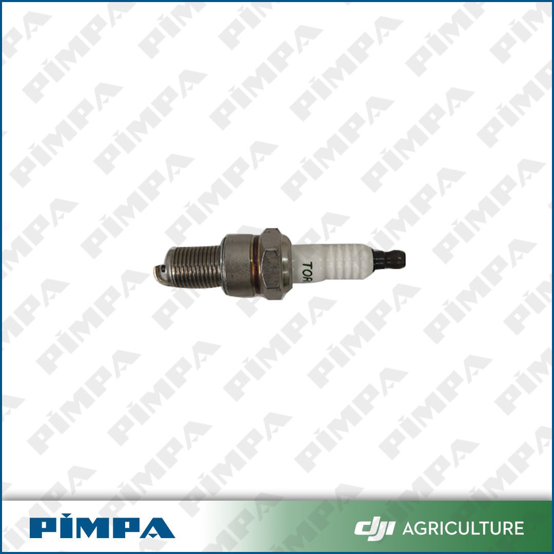 D12000i  -Spark Plug (RATO)