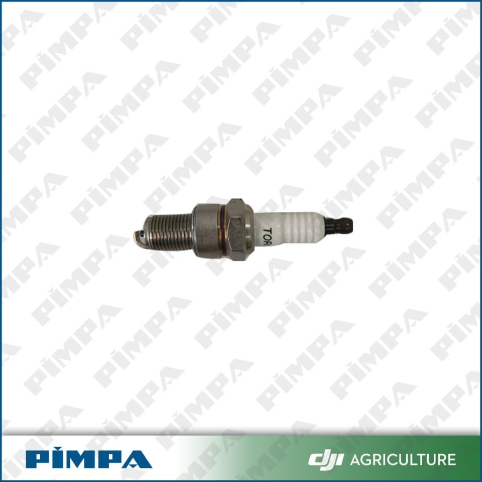 D12000i  -Spark Plug (RATO)
