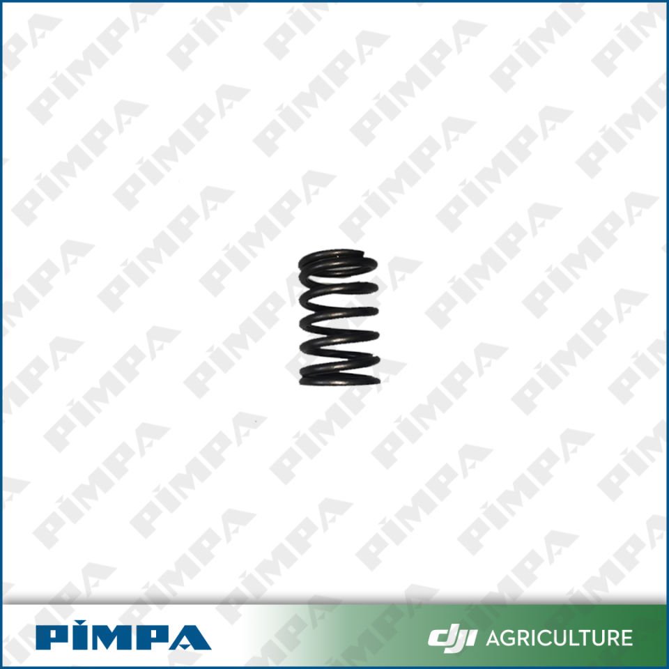 D12000i - Valve Spring (RATO)