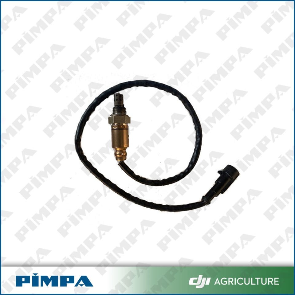 D12000i - Oxygen Sensor (RATO)