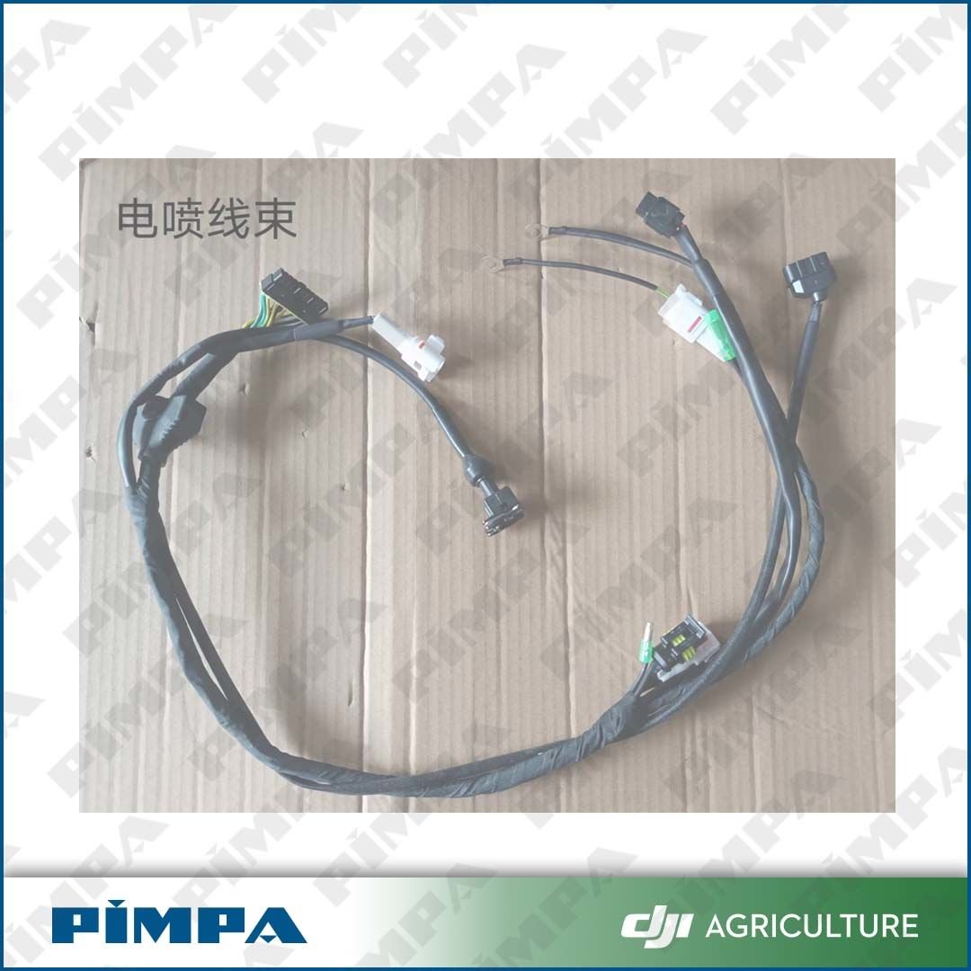 D12000i-Electronic Fuel Injection Cable (RATO)