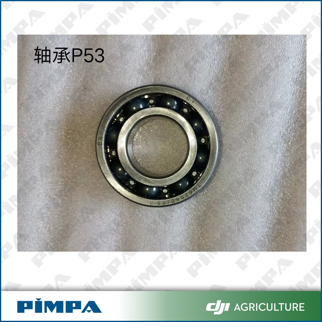 D12000i-Deep Groove Ball Bearing-P53 (RATO)