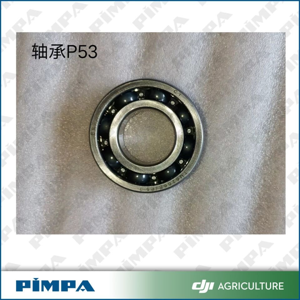 D12000i-Deep Groove Ball Bearing-P53 (RATO)