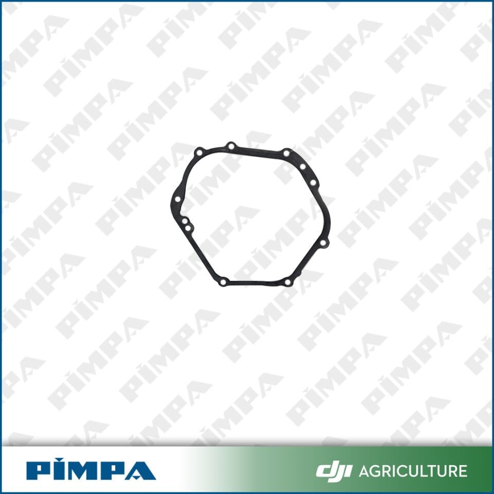 D12000i - Crankcase Gasket (RATO)