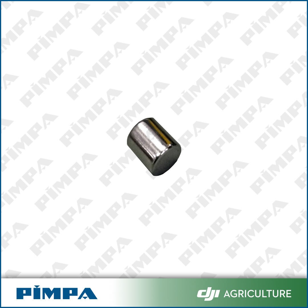 Float Magnet